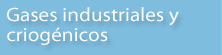 GASES INDUSTRIALES Y CRIOGÉNICOS
